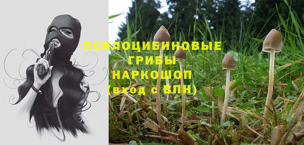 стафф Лихославль